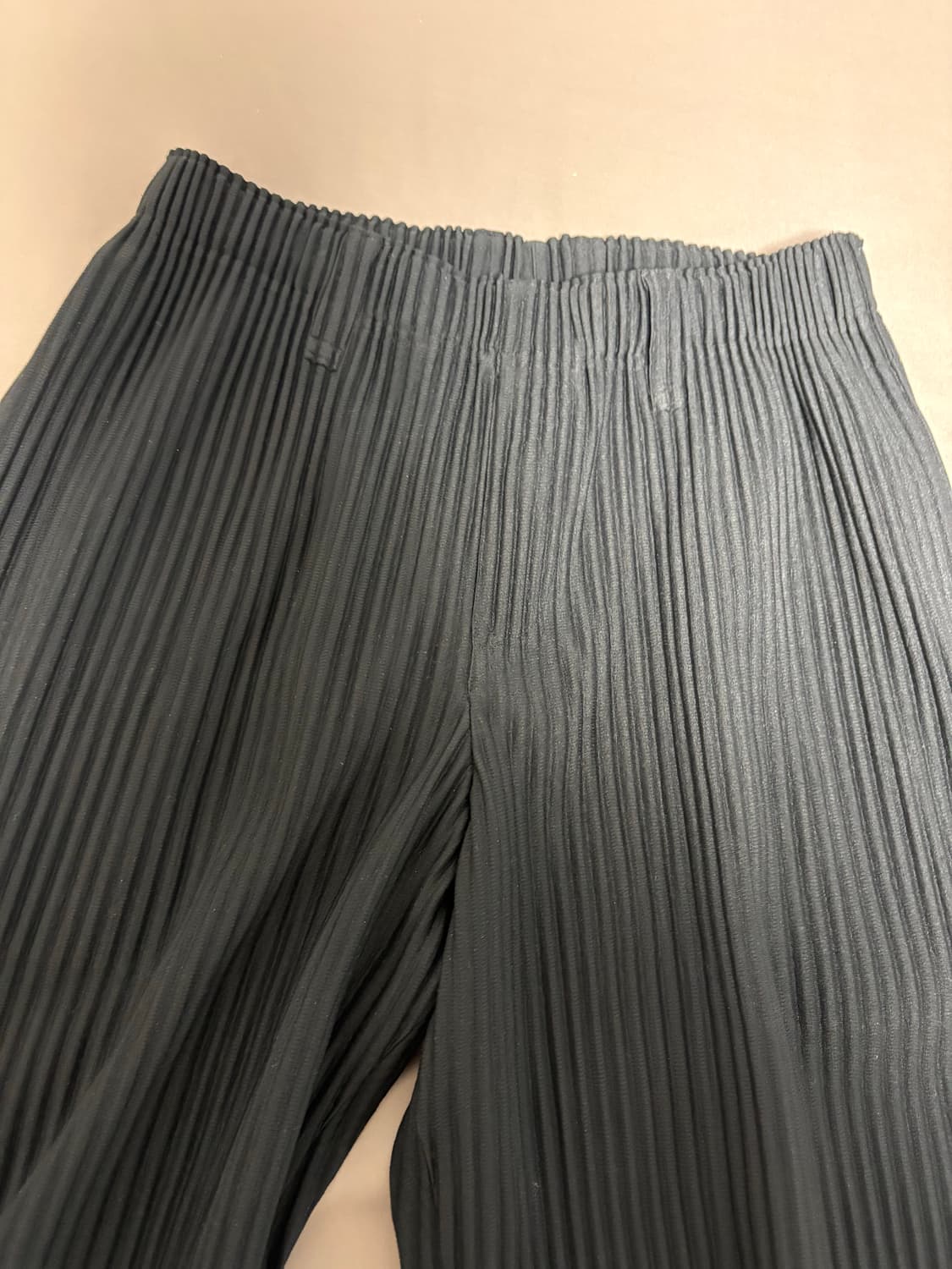 이세이미야케 옴므플리세 베이직팬츠 블랙1 상품이미지3