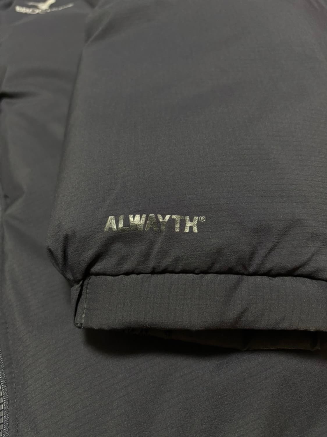 Brochure x Alwayth ARGENTUM 후디 다운패딩 L 상품이미지6