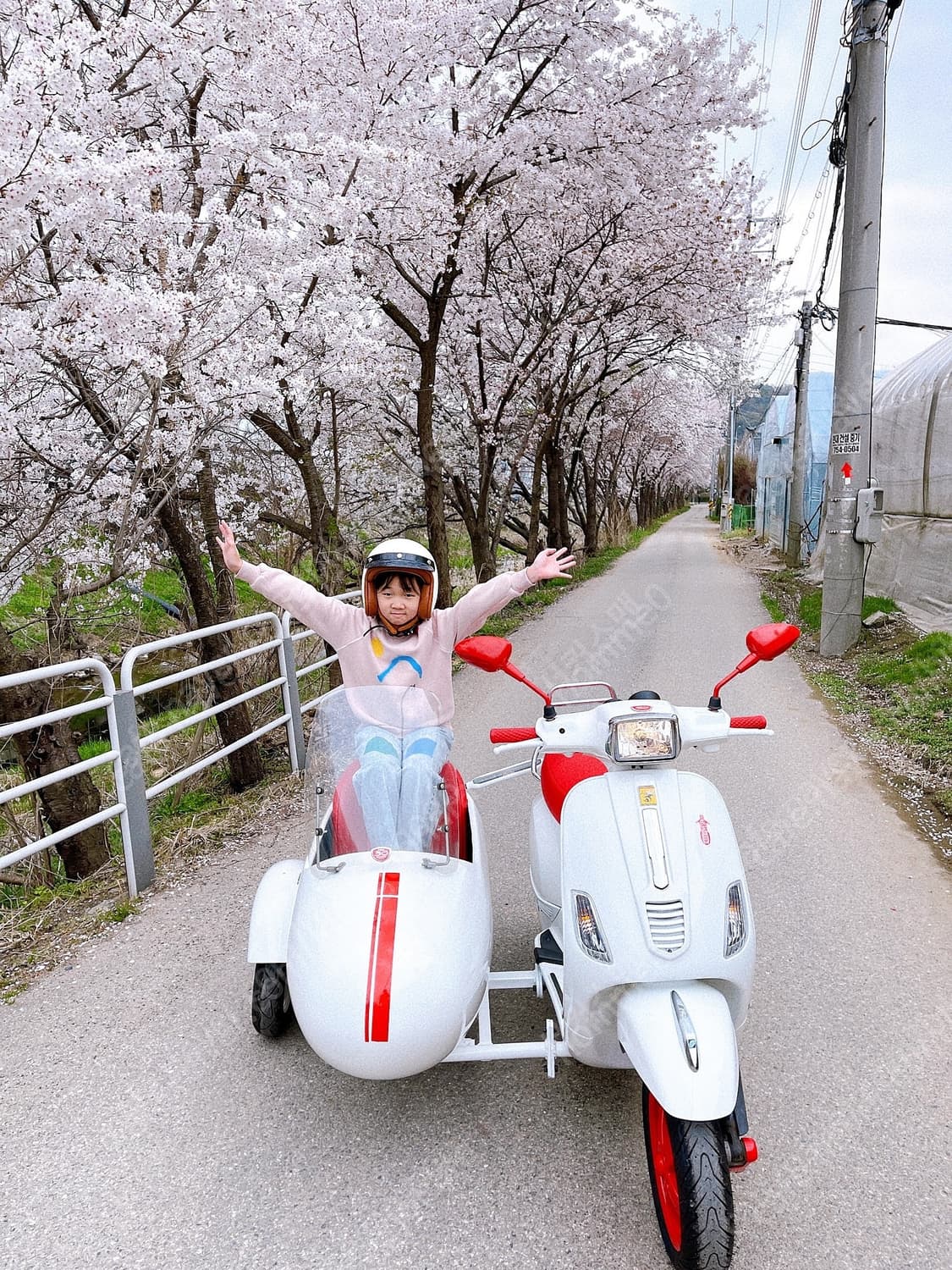 베스파 사이드카 상품이미지5