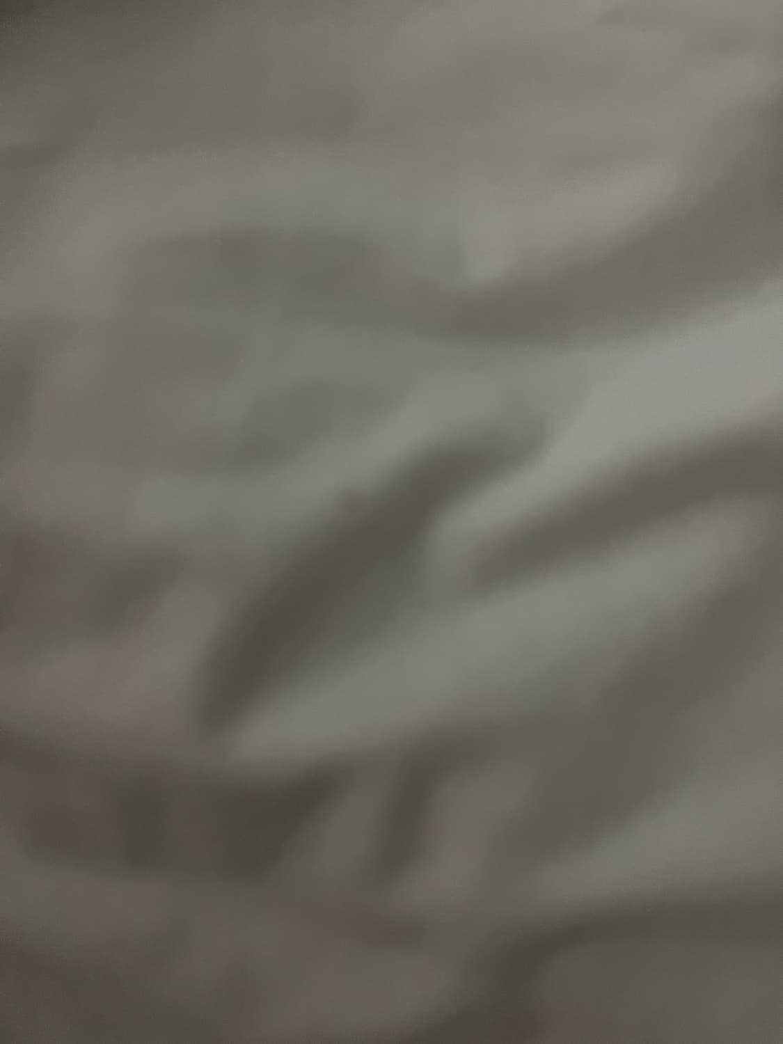 캘빈클라인 캘빈 티셔츠 상품이미지3