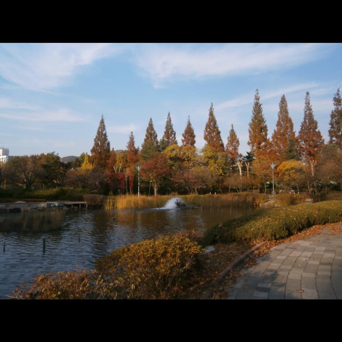 올림푸스 VH-210 박스  로즈 핑크글로시💗 빈티지 디카 디지털카메라 상품이미지7