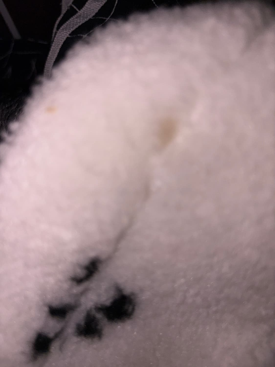 러브이즈트루 카우 무스탕 블랙 상품이미지2