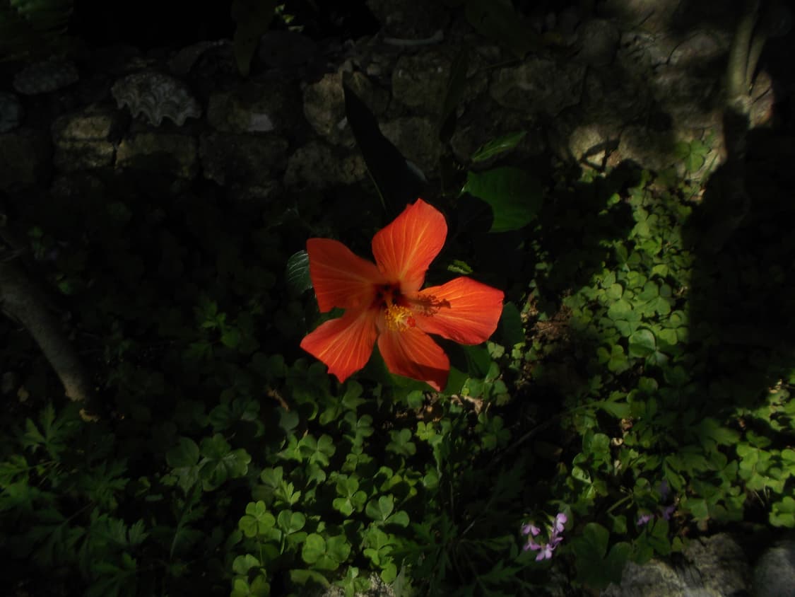 FUJIFILM FinePix JX490 상품이미지6