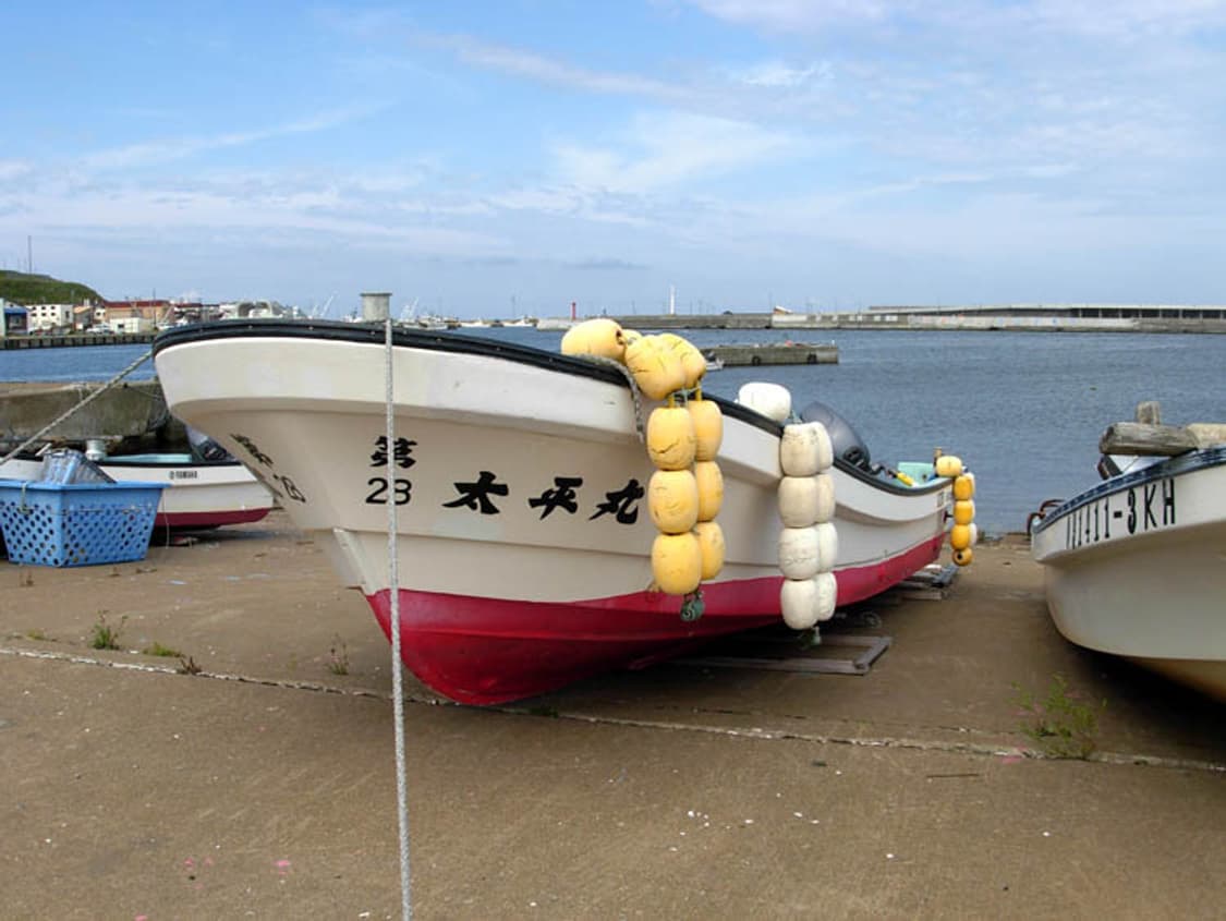 Nikon Coolpix L5 (니콘 쿨픽스 L5) 상품이미지9