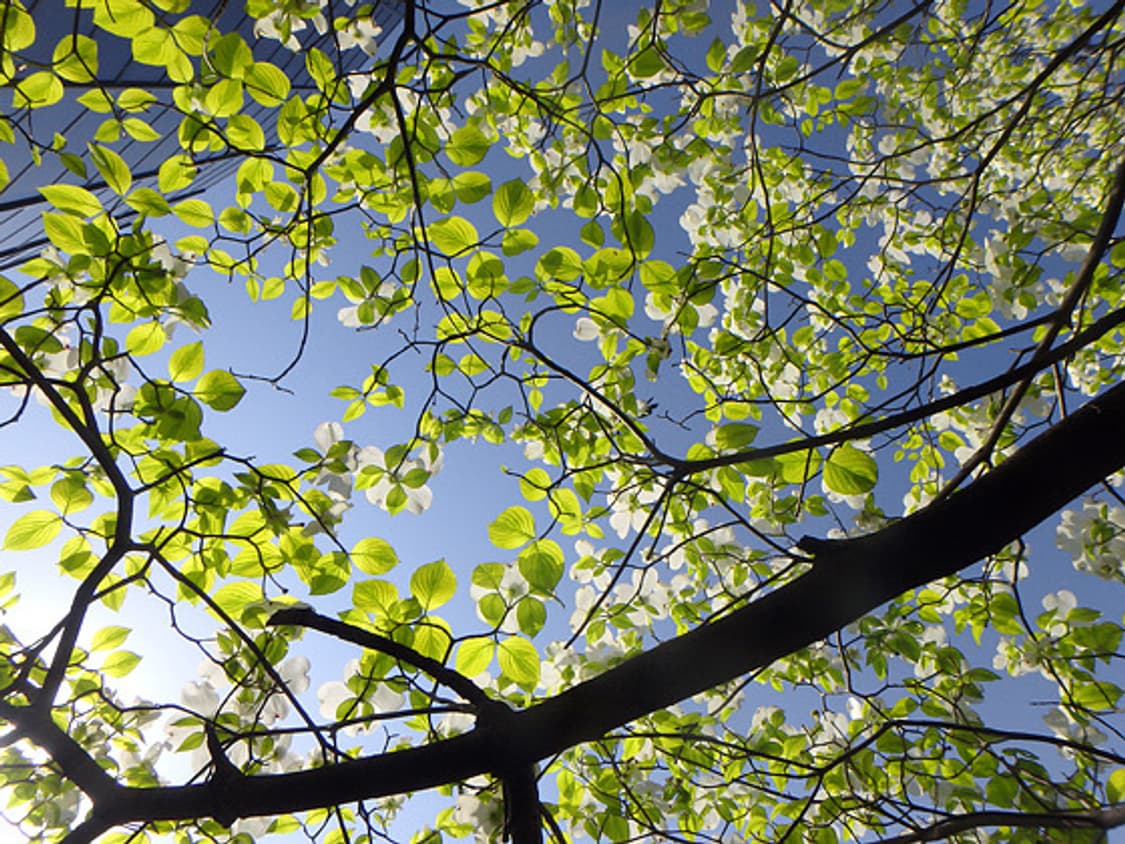 올림푸스 스타일러스 Olympus Stylus TG-850 실버 상품이미지4