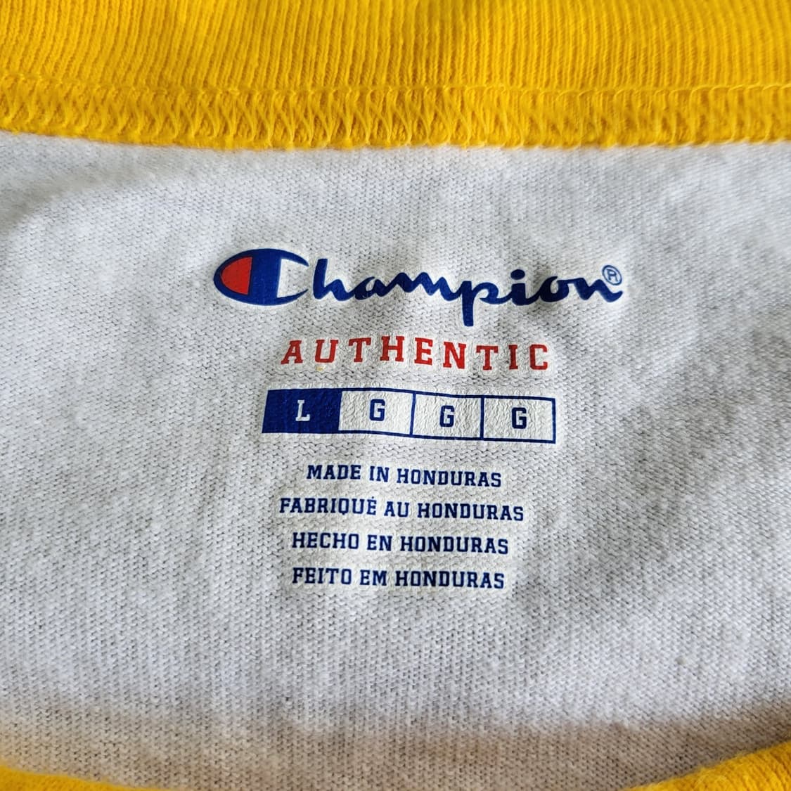 [L] Champion Raglan Sleeve | 후루츠패밀리