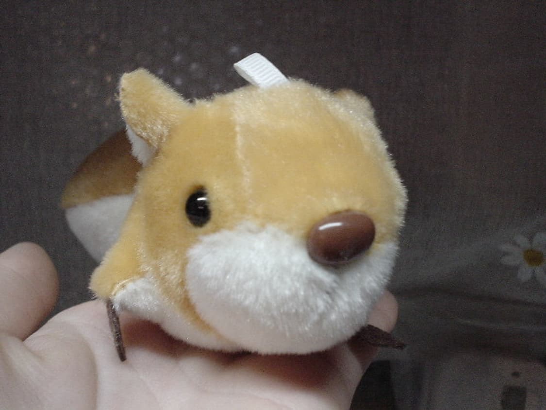 SONY CYBERSHOT DSC-U20 오렌지 소니 사이버샷 상품이미지2