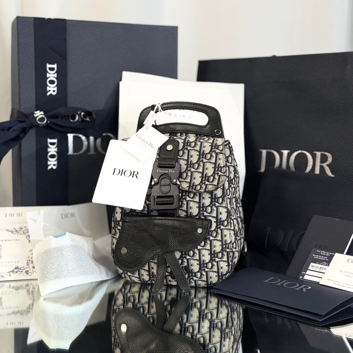 디올 갤럽 슬링백 오블리크 1ADBO022YKK 상품이미지1