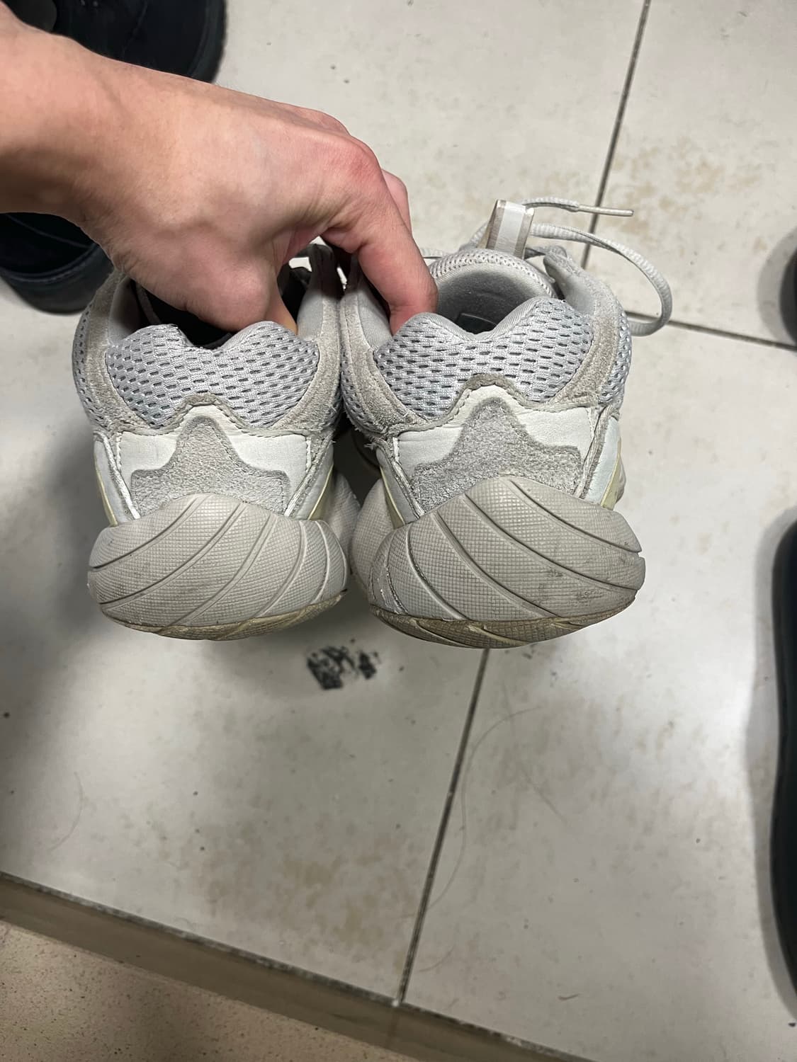 이지 500 정품 265 상품이미지3