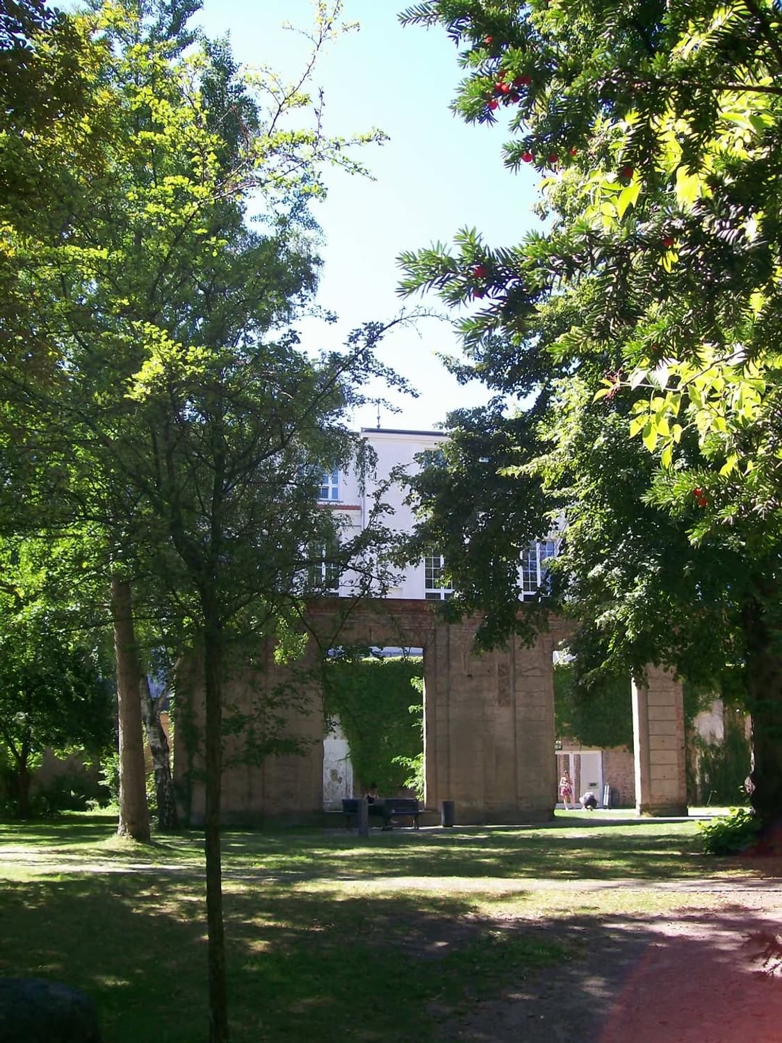 코닥 이지쉐어 c743 상품이미지6