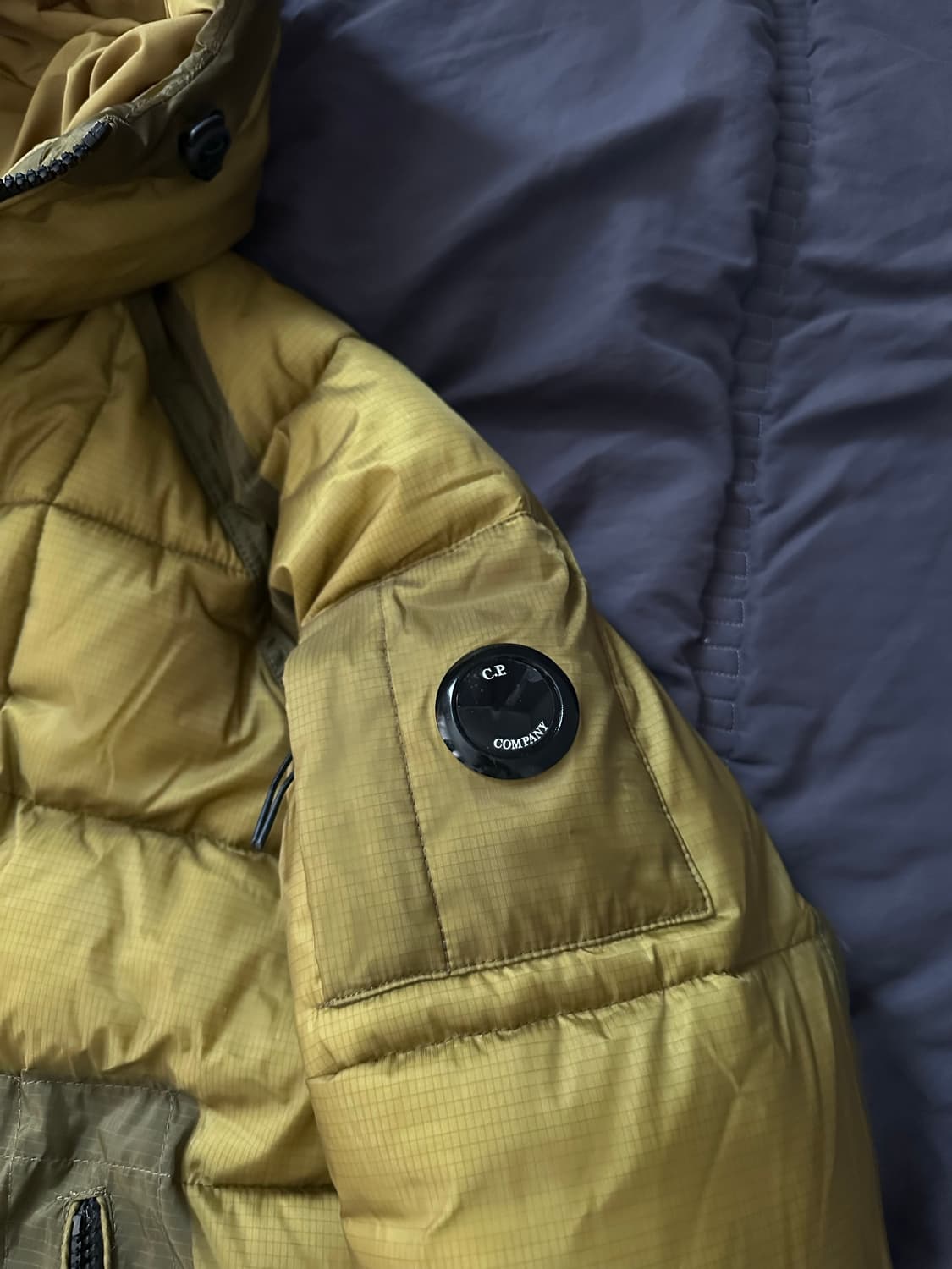 cp 컴퍼니 디디쉘 상품이미지3