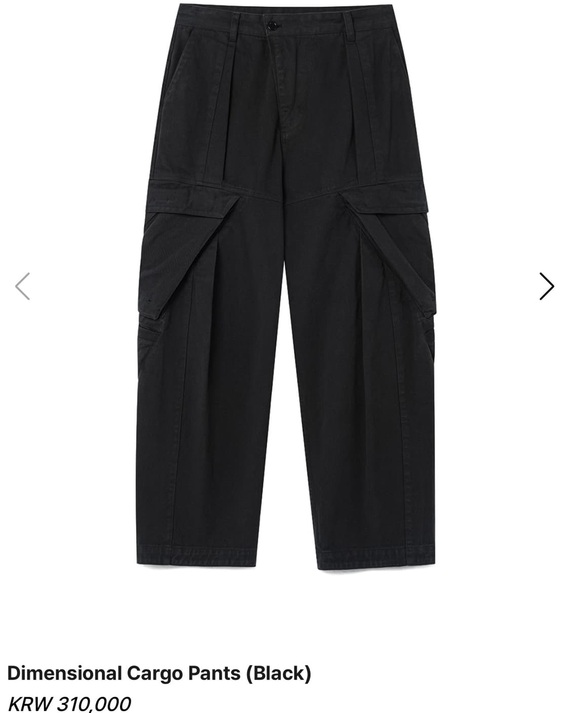 symm Dimensional Cargo Pants 상품이미지1