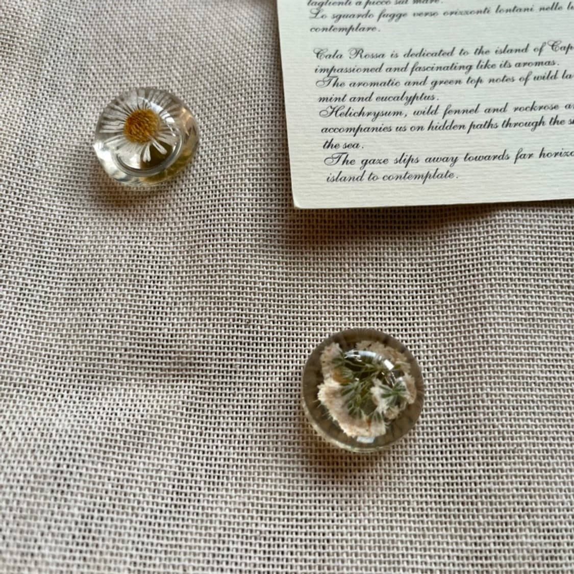 Flower Magnet (6p set)  상품이미지2