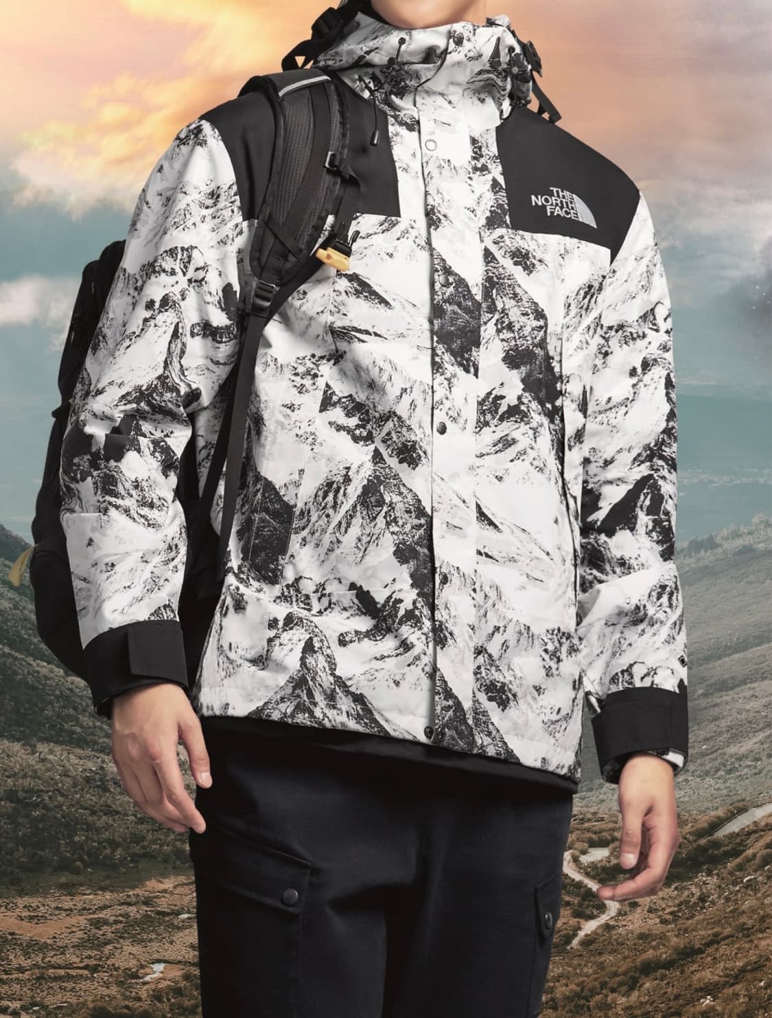 노스페이스 노벨티 에코 고어텍스 마운틴 설산 자켓 상품이미지9