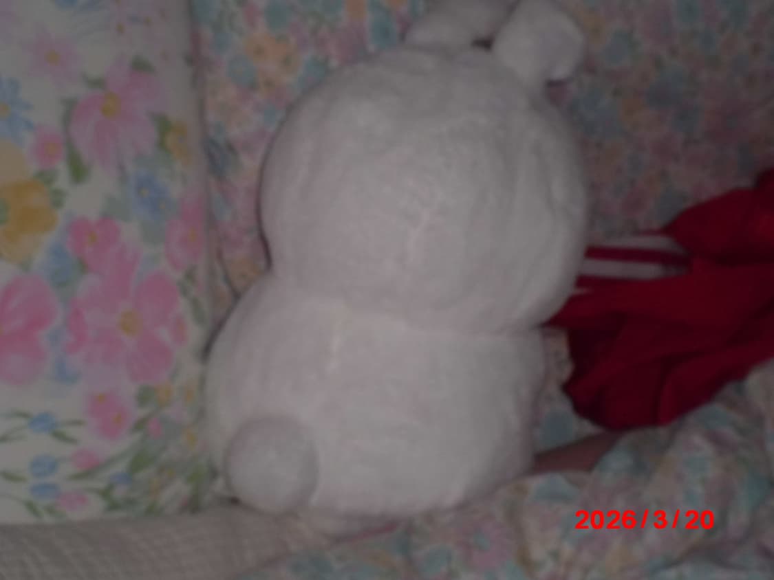 카시오 엑슬림 zs-5 핑크 상품이미지9