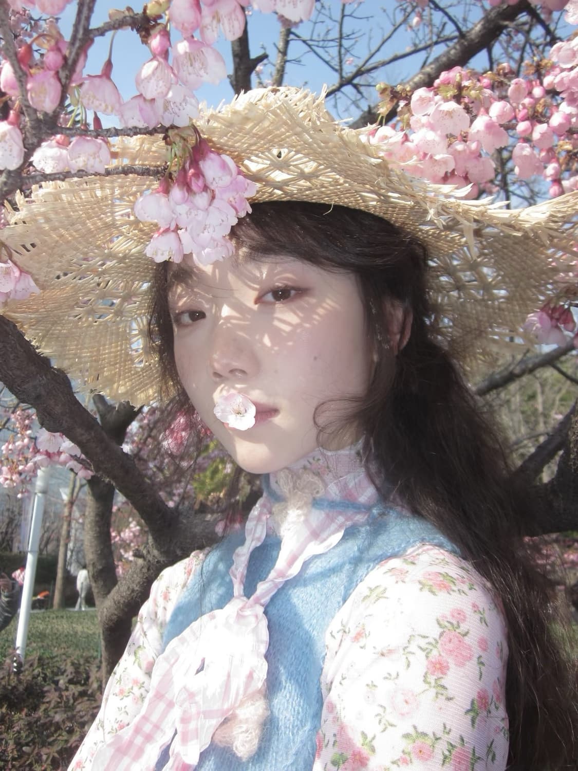 [*민트급!🔥/작례⭕️] 캐논 IXY650 (IXUS 285HS) 디카 상품이미지5