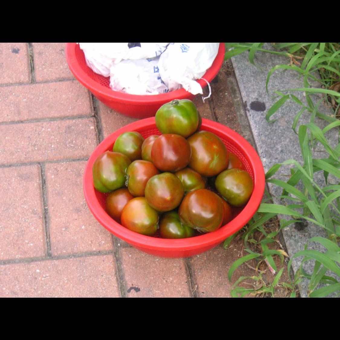 작례⭕️ 미놀타 디미지  디마지 X50 X-50 상품이미지3