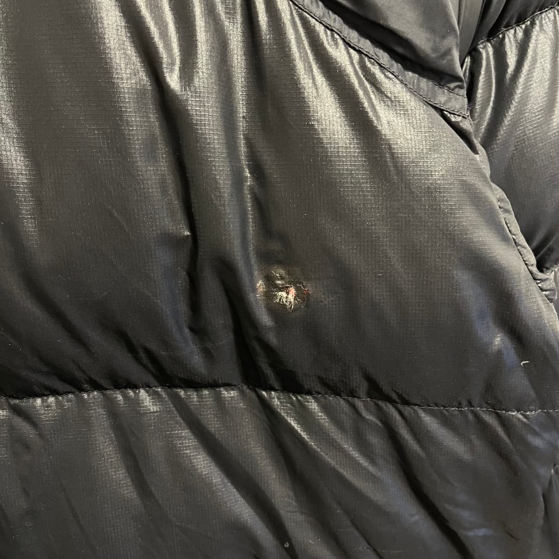 노스페이스 센터로고 700 눕시 패딩 상품이미지6