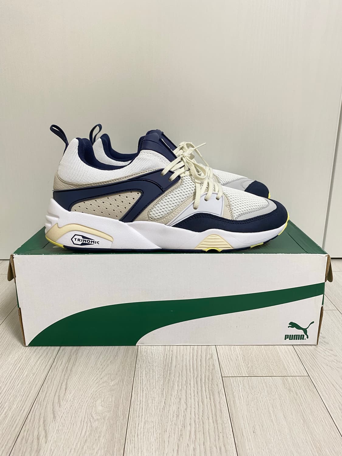 PUMA BLAZE OF GLORY PRM 상품이미지4