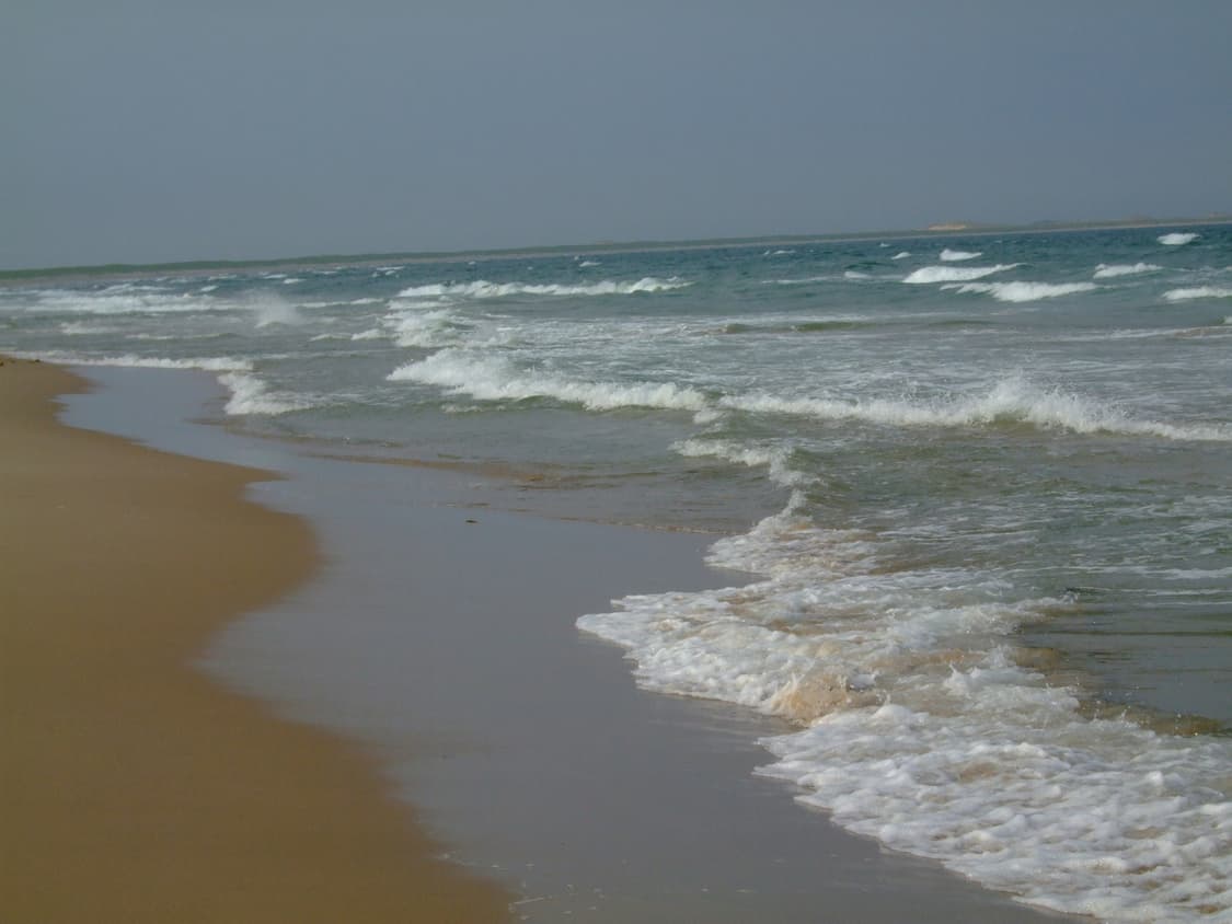 Fujifilm Finepix F47fd 파인픽스 f47fd 디카 카메라 상품이미지10