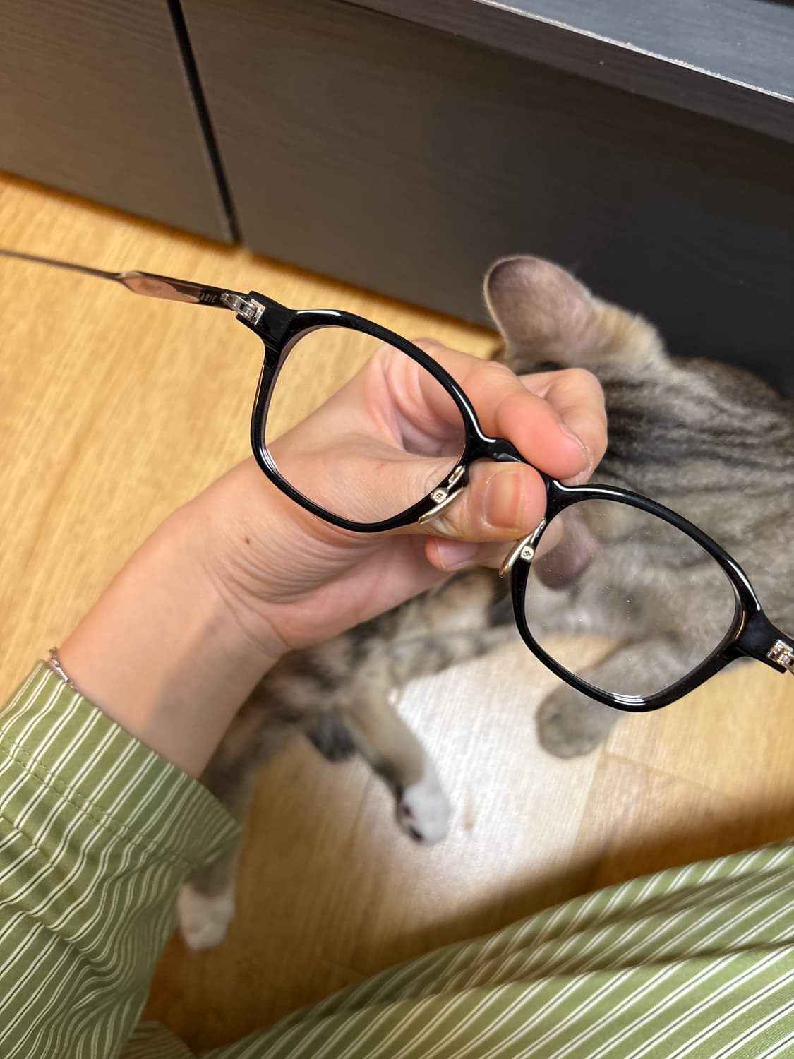 젠틀몬스터 Series S - tabie(타비) 상품이미지5