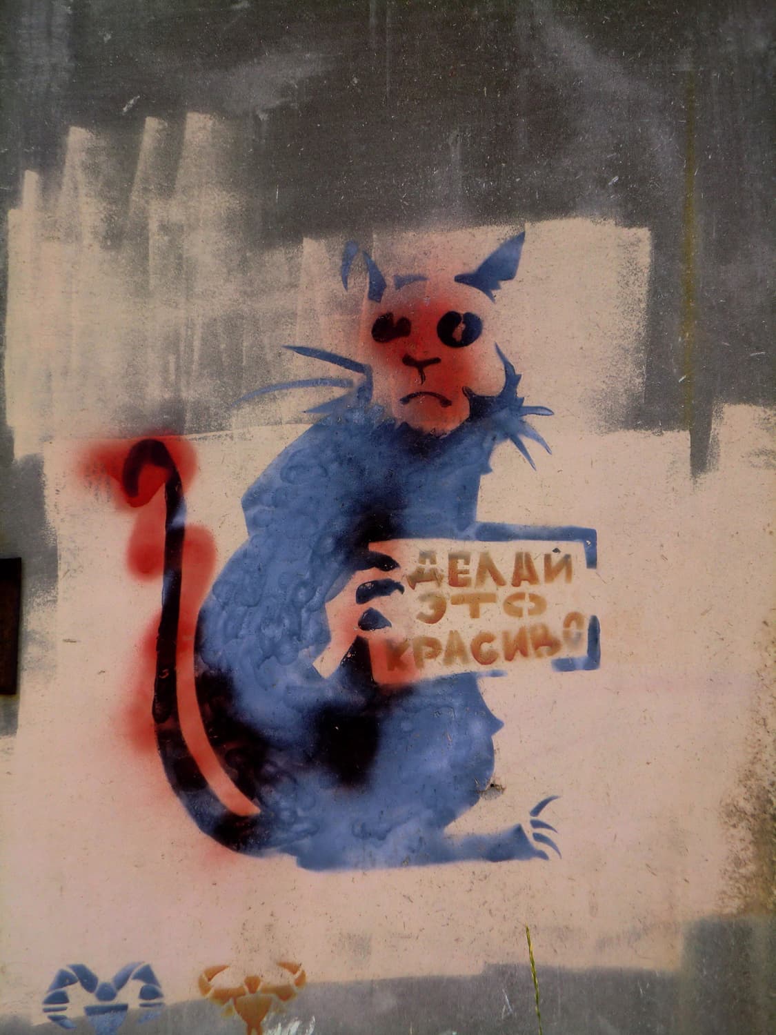 카시오 CASIO EXILIM Z500 빈티지 디카 상품이미지7