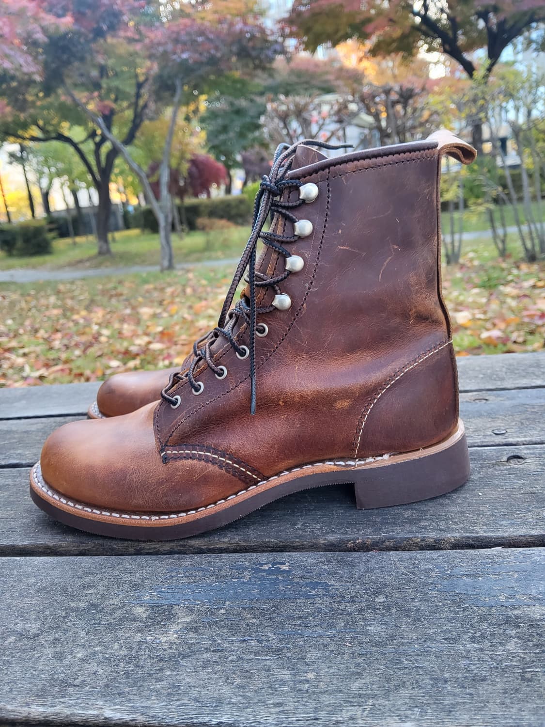 여성용 레드윙 3362부츠 신품235 상품이미지5