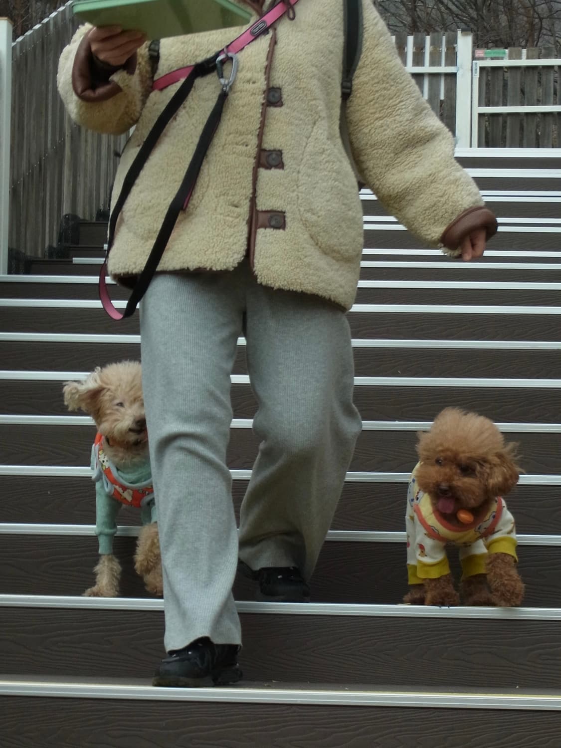 ricoh cx5 작례O 상품이미지9