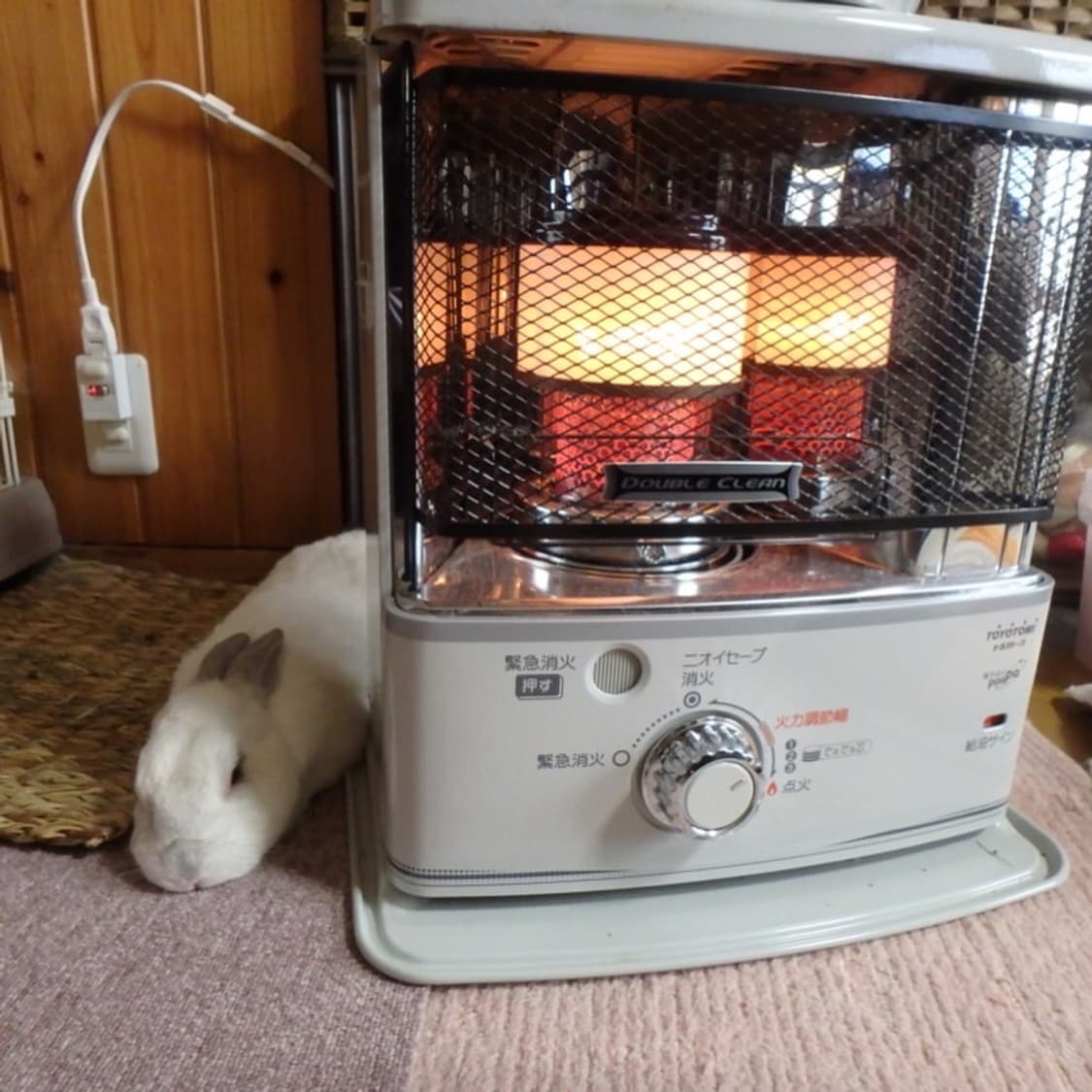 올림푸스 스타일러스 Olympus Stylus TG-870 블랙(라임) 상품이미지3