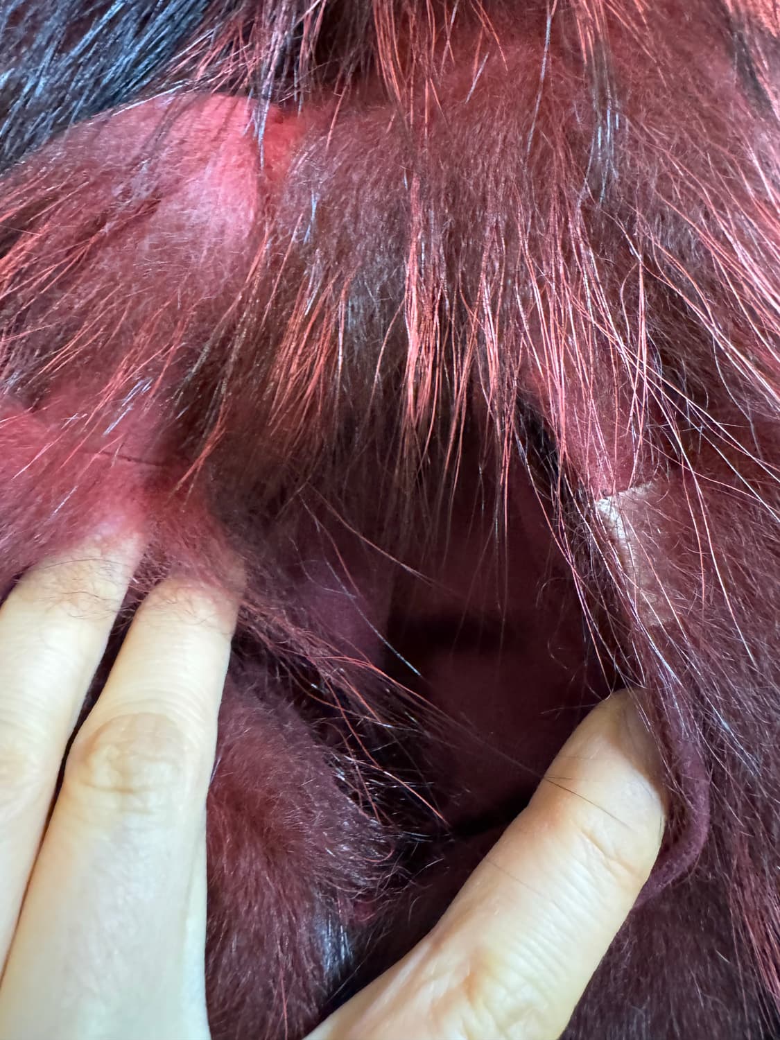 vico cristallini 새상품 비코크리스탈리아니 폭스퍼 코트 상품이미지7