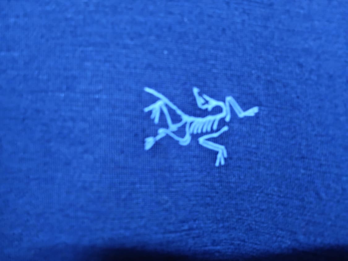 Arc'teryx  Ionia Merino Wool LS - 넬슨 정 상품이미지6