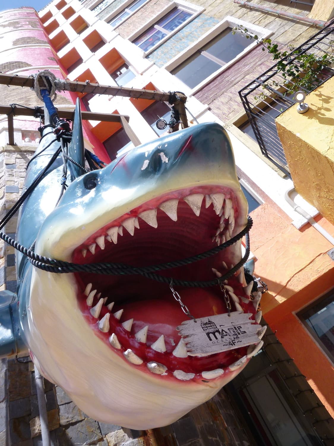 (라이카 렌즈🫧)파나소닉 루믹스 LUMIX DMC-FX700 상품이미지8