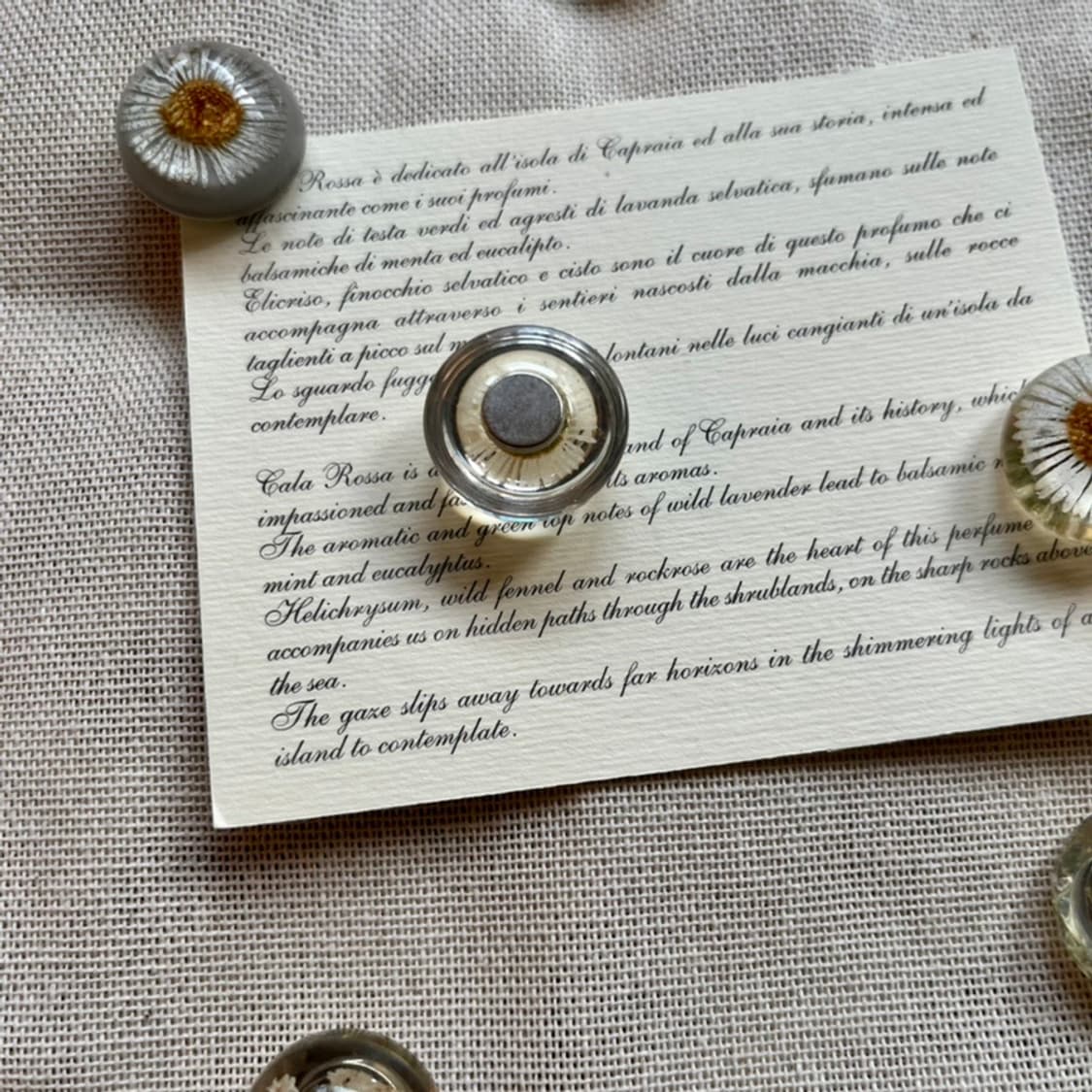 Flower Magnet (6p set)  상품이미지4