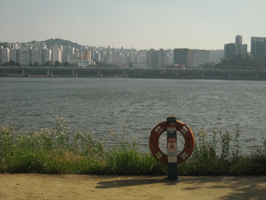 [작례있음] CANON IXY 1000 (IXUS 900 TI) 상품이미지7