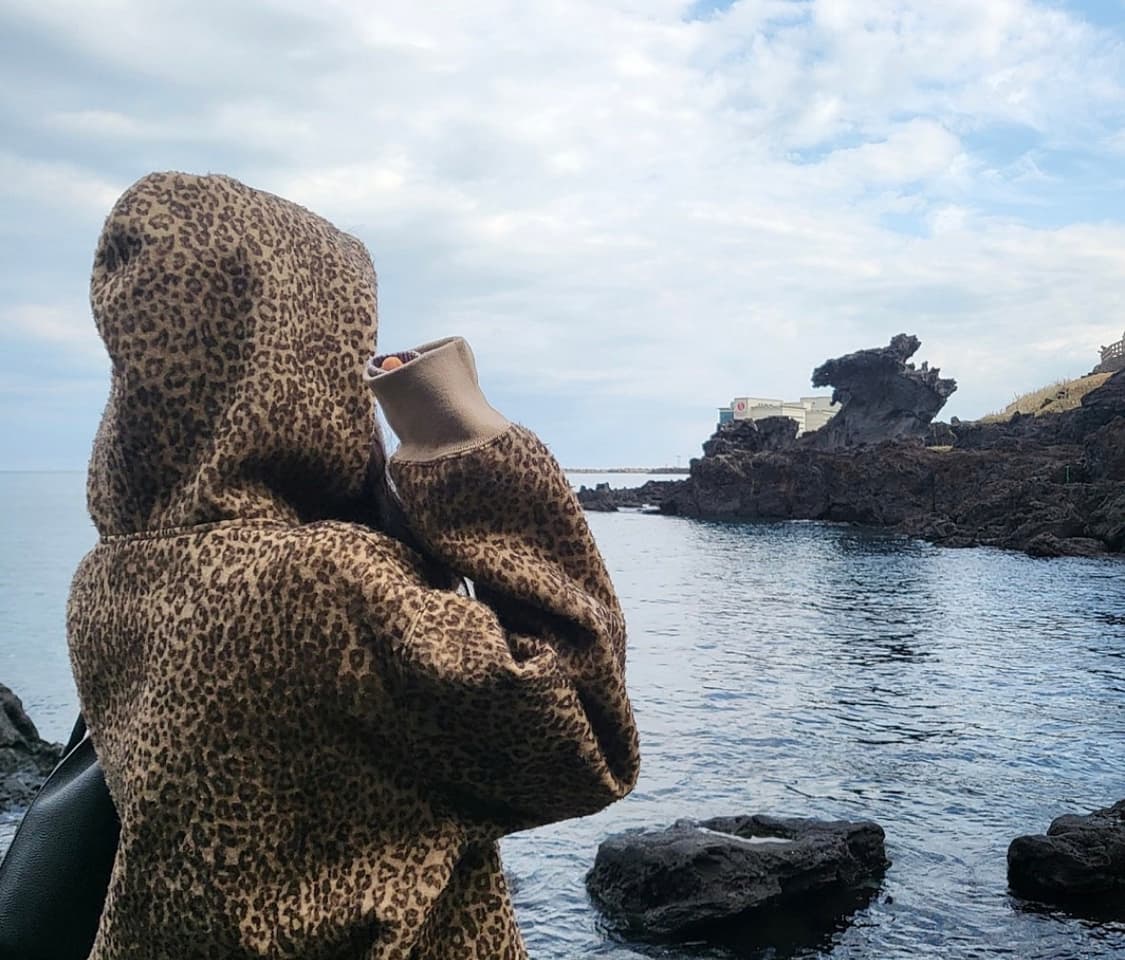 슈프림 필드 집업 후드 스웨트셔츠 치타 - 24FW 상품이미지2