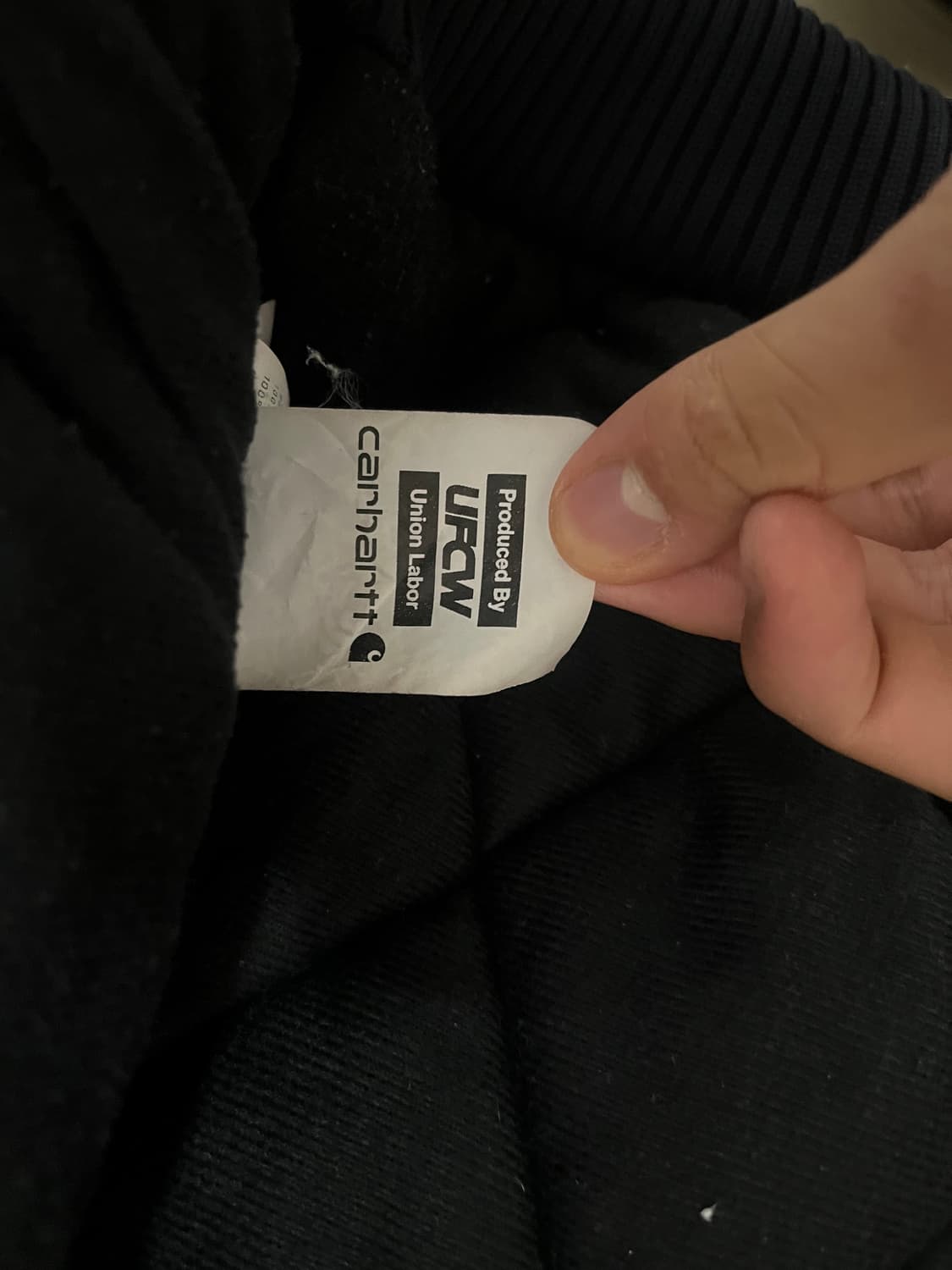 칼하트 액티브 자켓 + 아크테릭스 비니 + 감마갤러리 바지 상품이미지7