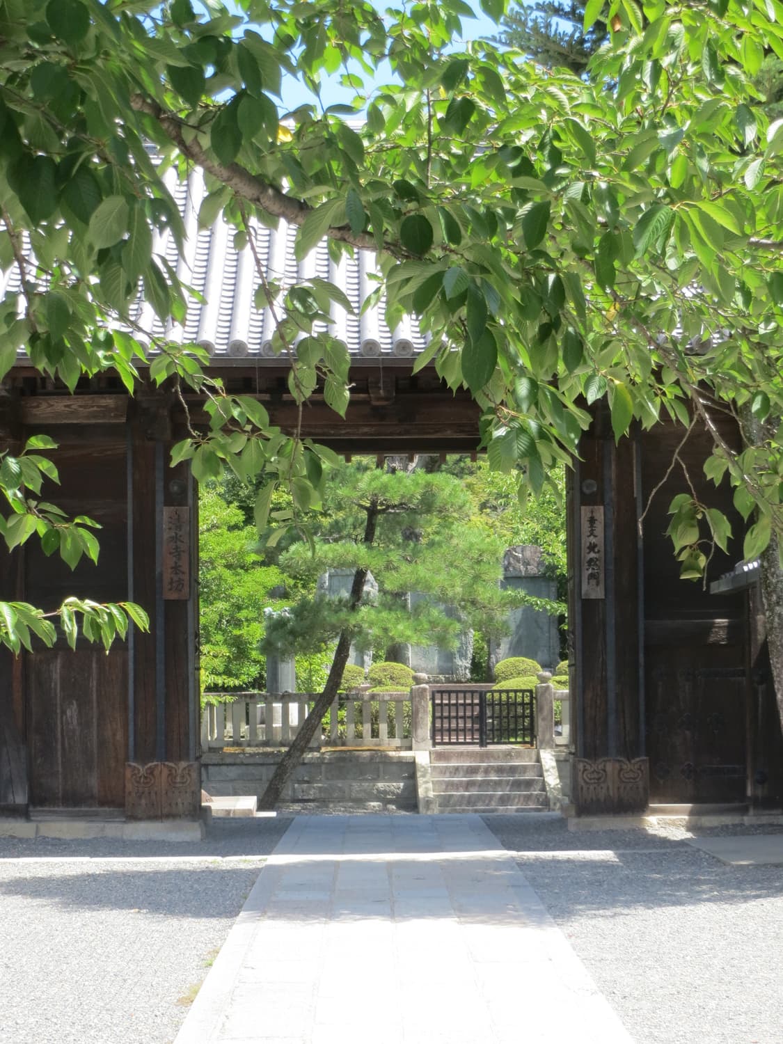 캐논 ixy3 빈티지 디지털카메라 상품이미지10