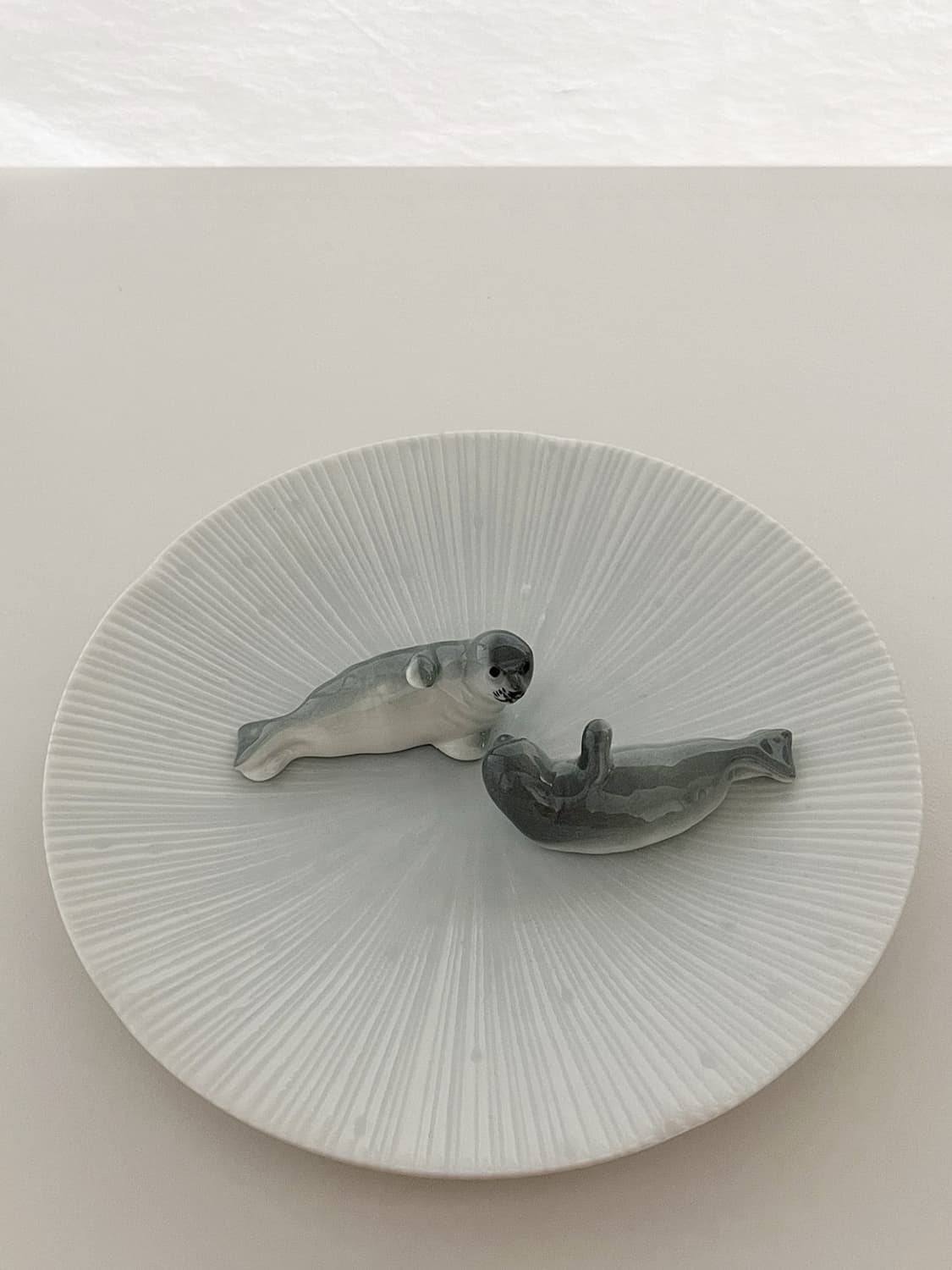 glacial plate 상품이미지3