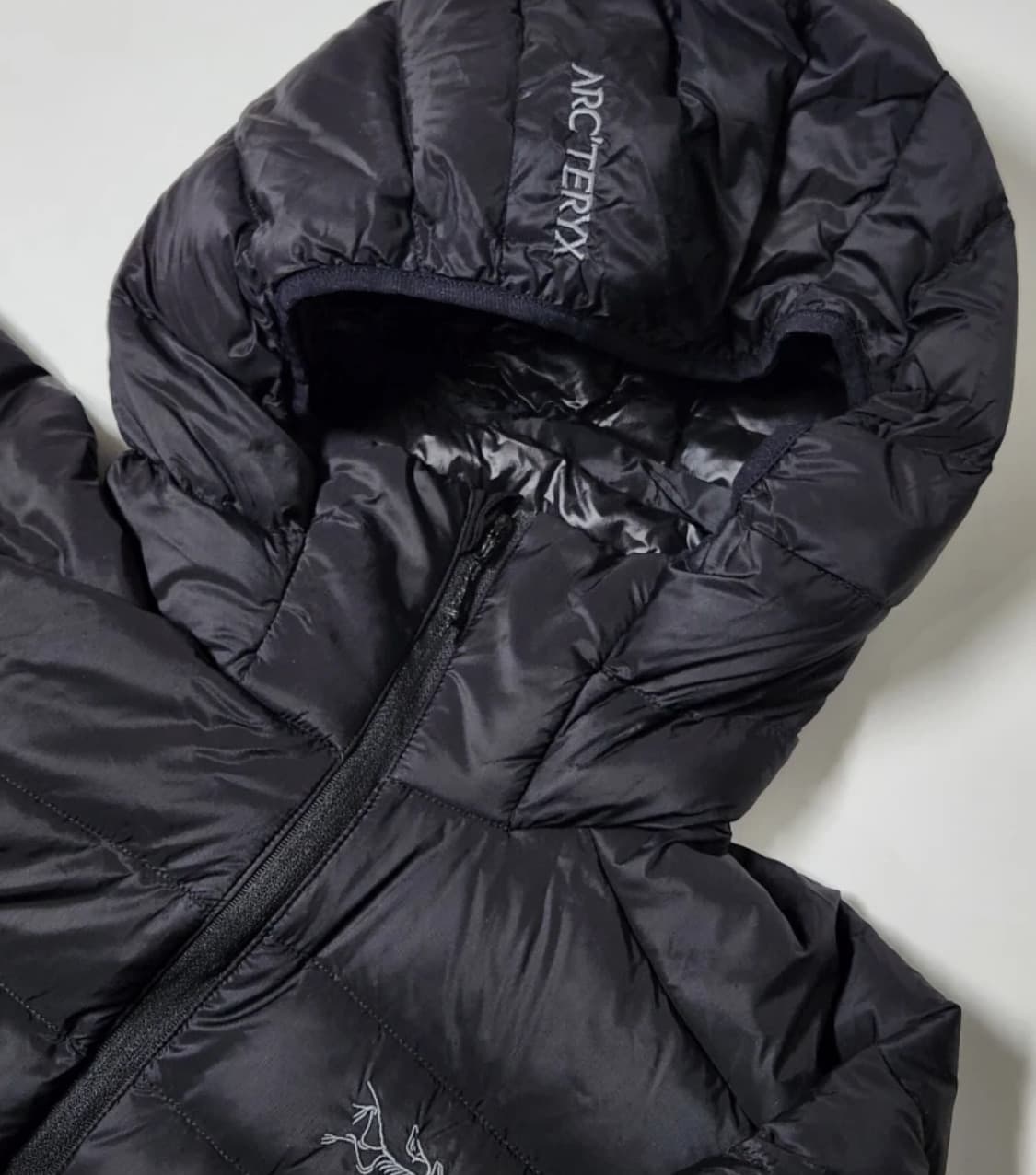 아크테릭스 세륨 후디 블랙 상품이미지4