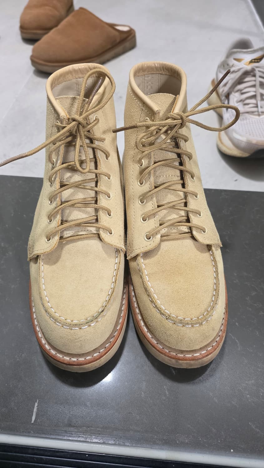 레드윙 여성 3328 7.5b사이즈(245) 판매합니다 상품이미지1