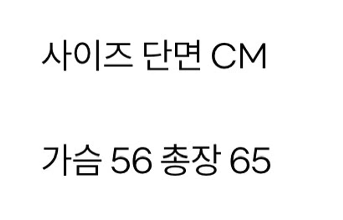 나이키 acg 마운틴자켓 팝니다 상품이미지9