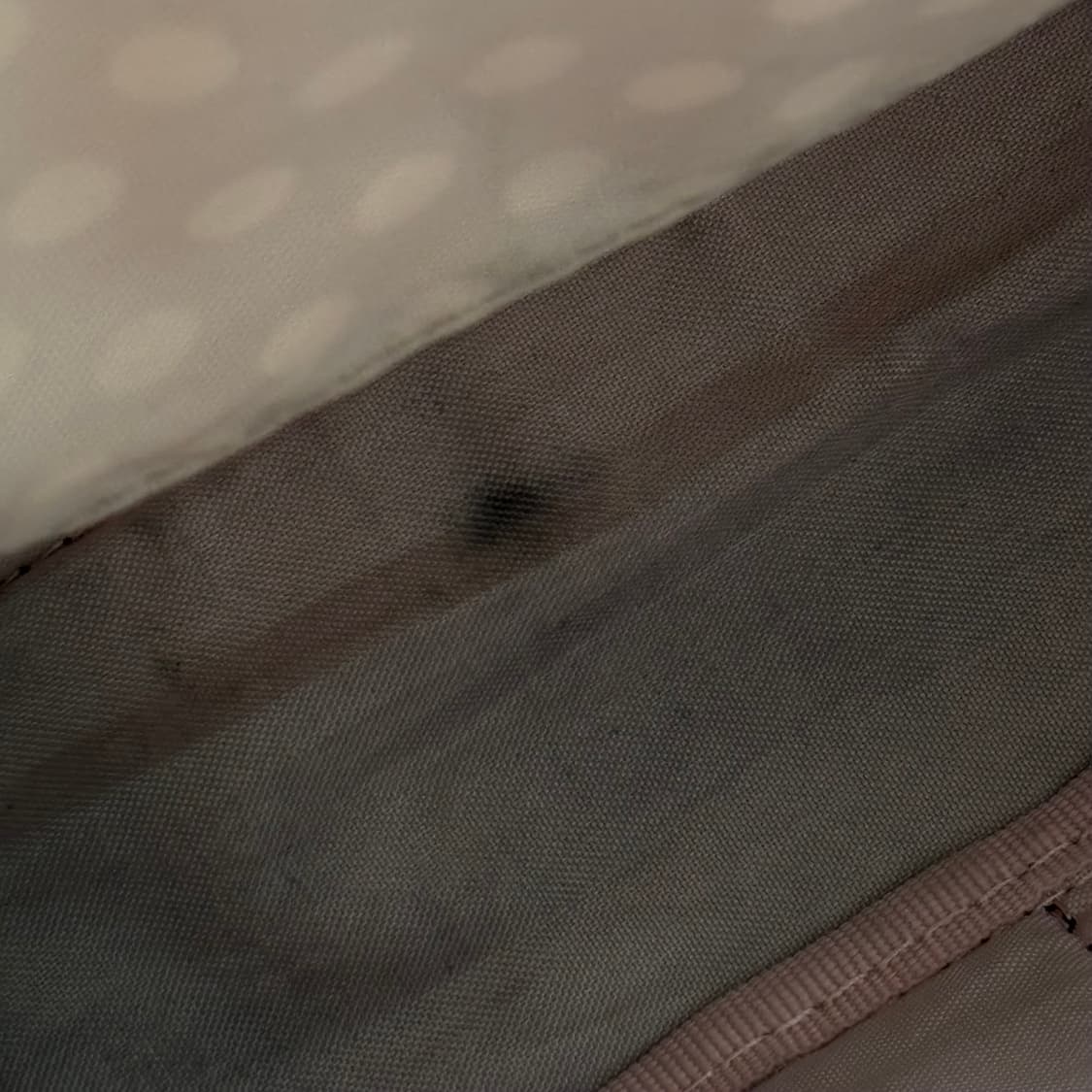 Olive des olive 밀크티 베이지 도트 백팩 상품이미지7