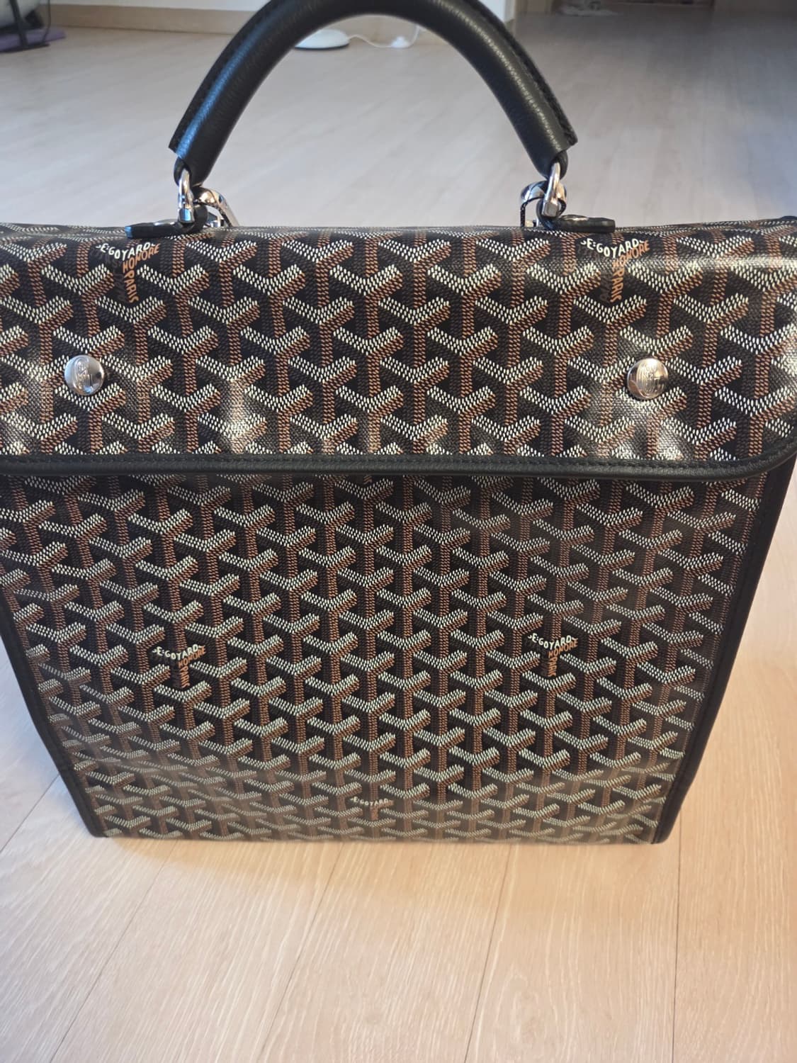 고야드 생레제르 백팩 상품이미지1