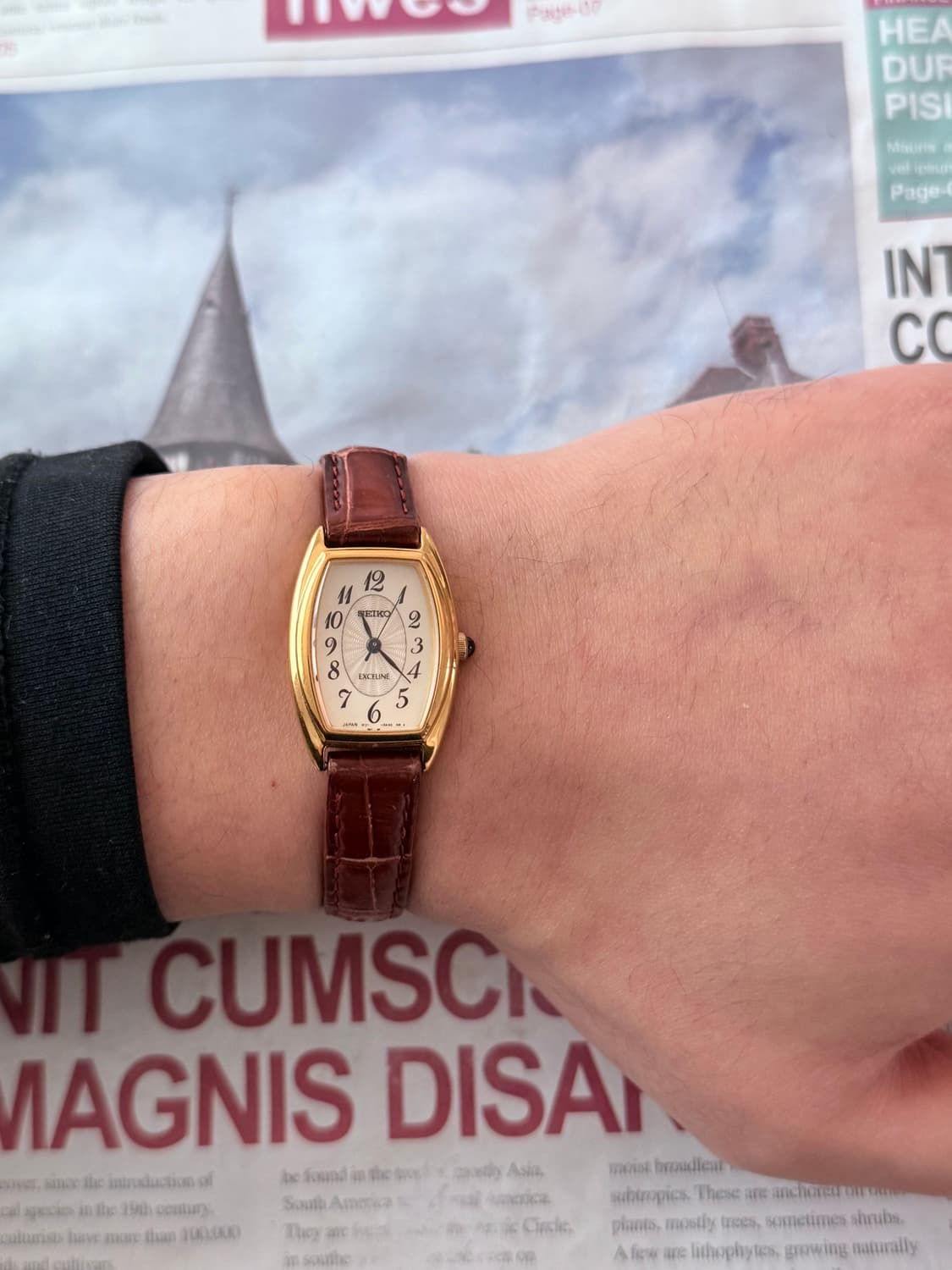 세이코 Seiko EXCELINE 토노 레이디스 상품이미지4