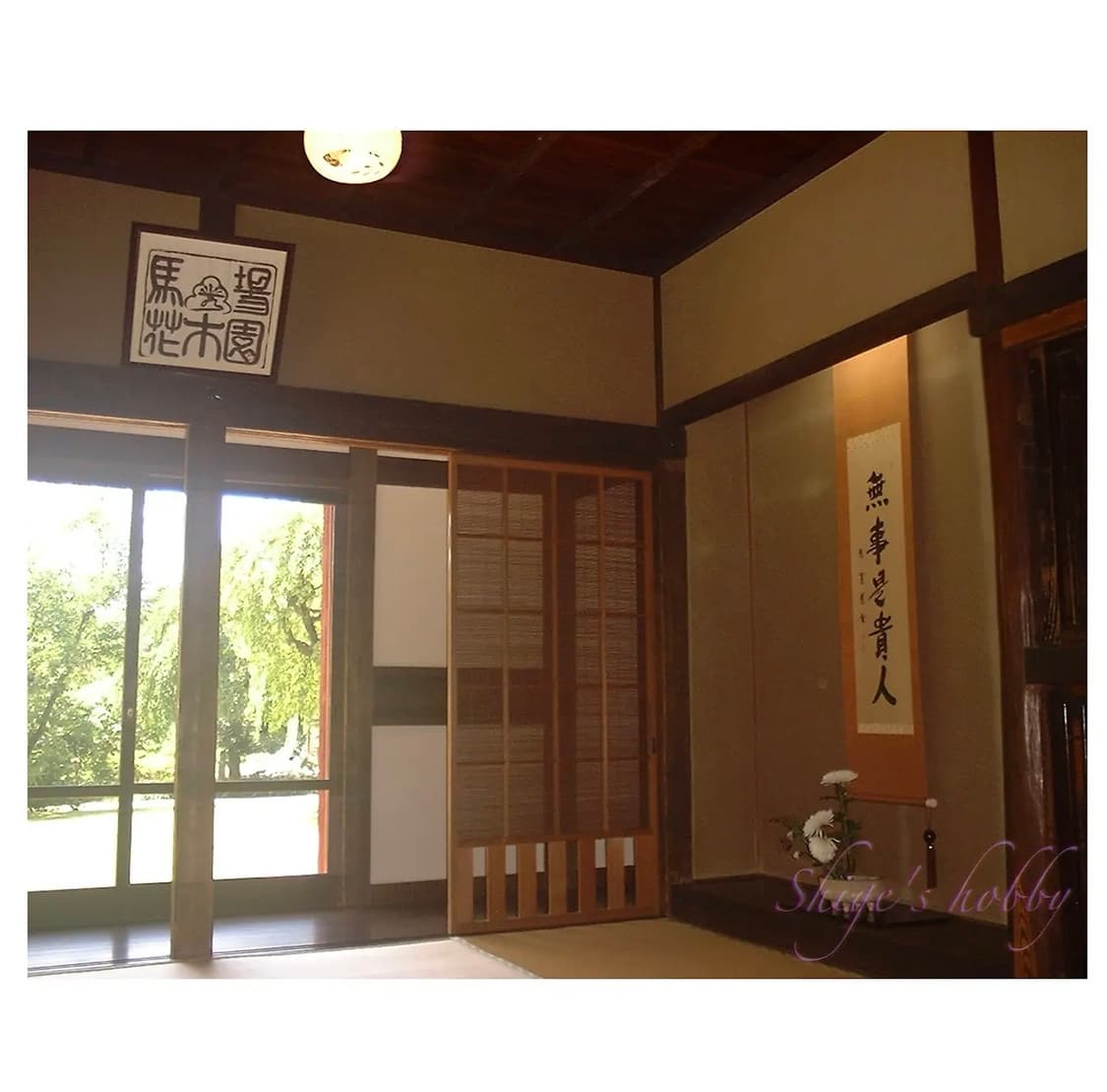 후지필름 파인픽스 1500 디카 상품이미지9