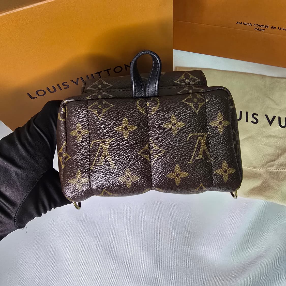 루이비통 팜 스프링스 미니 (M44873) 상품이미지4