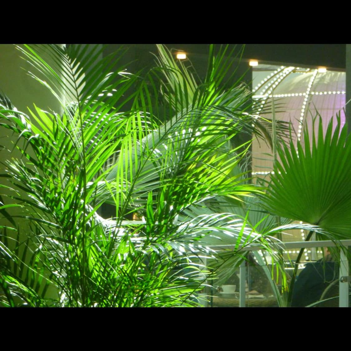 작례⭕️ 파나소닉 루믹스 DMC-FP7  빈티지 디카 디지털카메라 상품이미지9