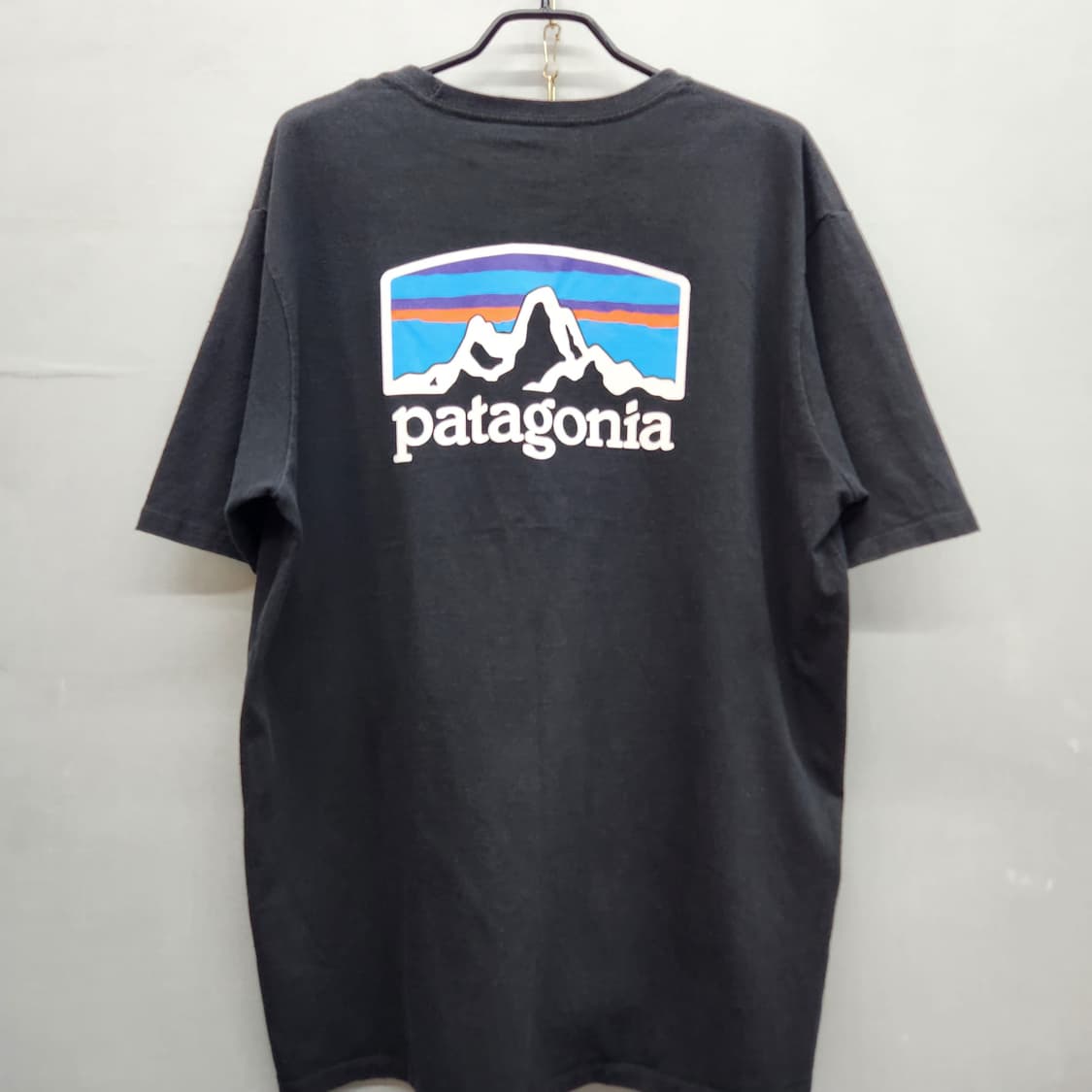파타고니아 백 빅로고 프린팅 반팔 L(XL) 상품이미지1