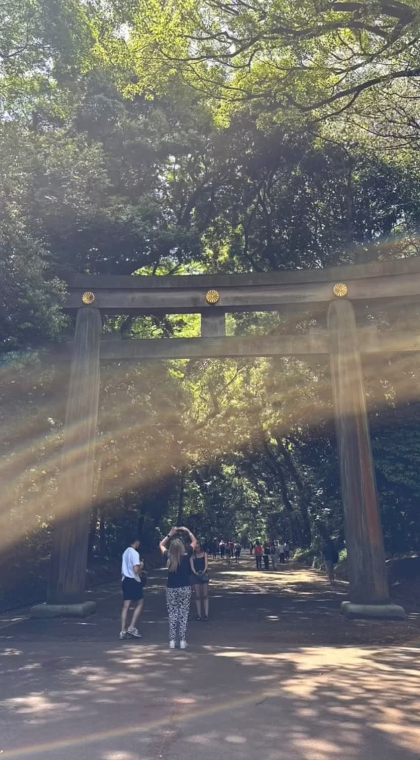 Ricoh CX4  리코 cx4 디카 빈티지디카 상품이미지10