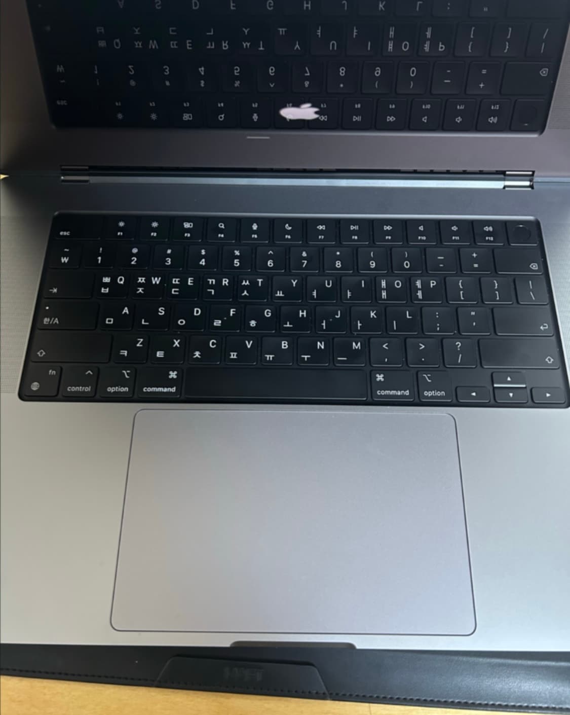 맥북프로 M2 MAX 16인치 스그 1tb 상품이미지2